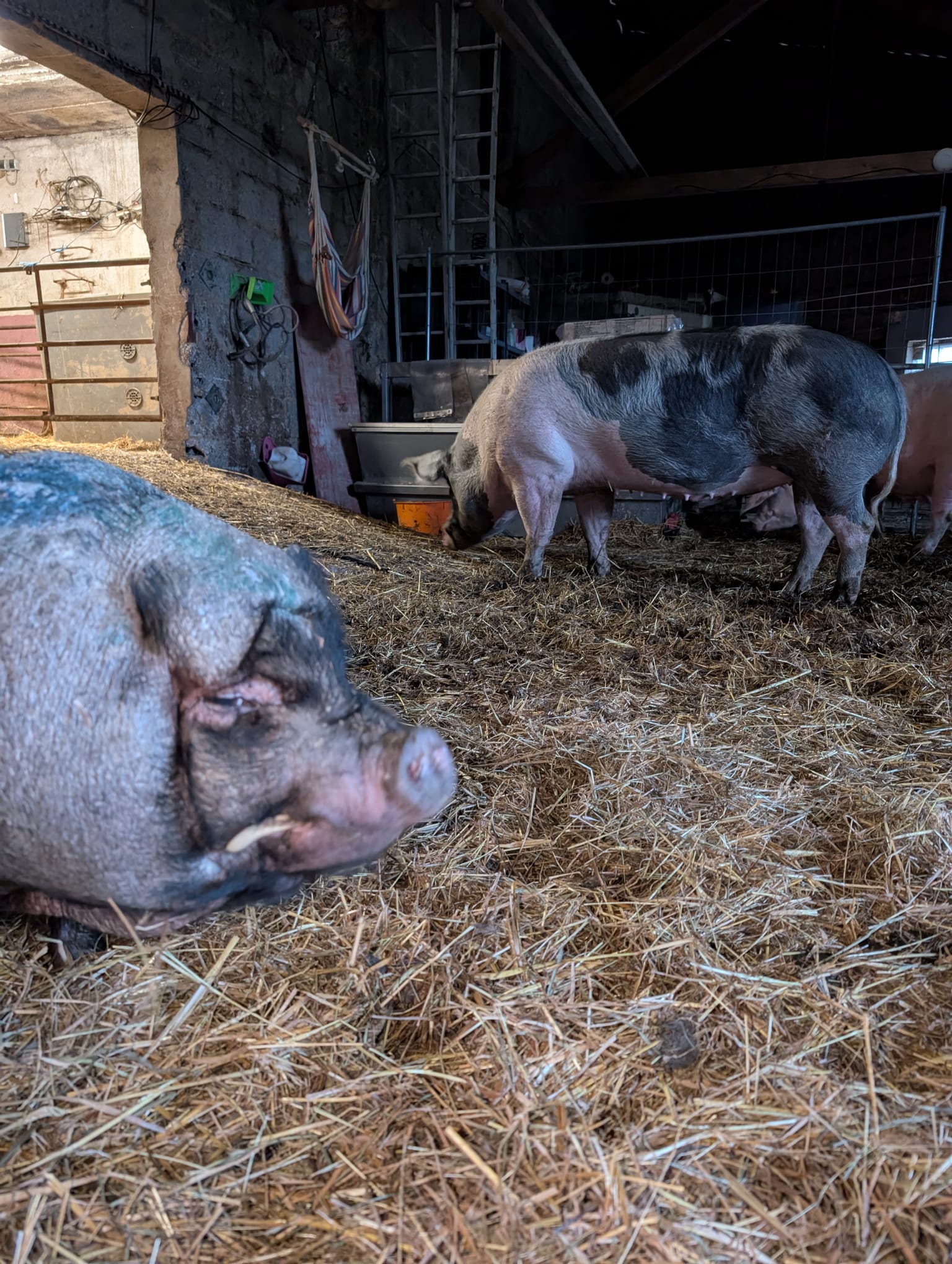 Bild zu Eintrag #128