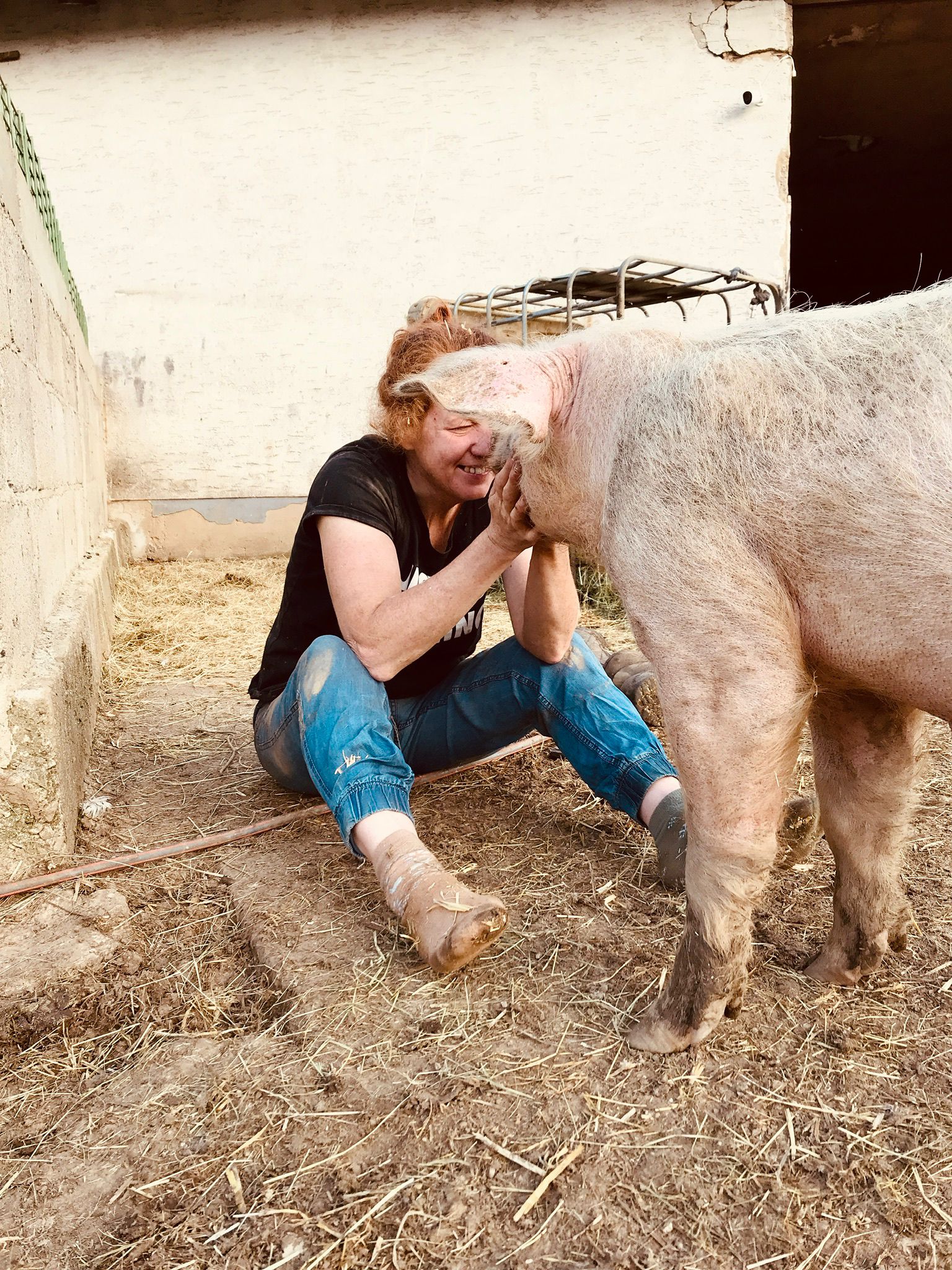 Bild zu Eintrag #129